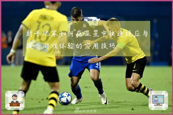 新手玩家如何在亚星中快速适应与提升游戏体验的实用技巧