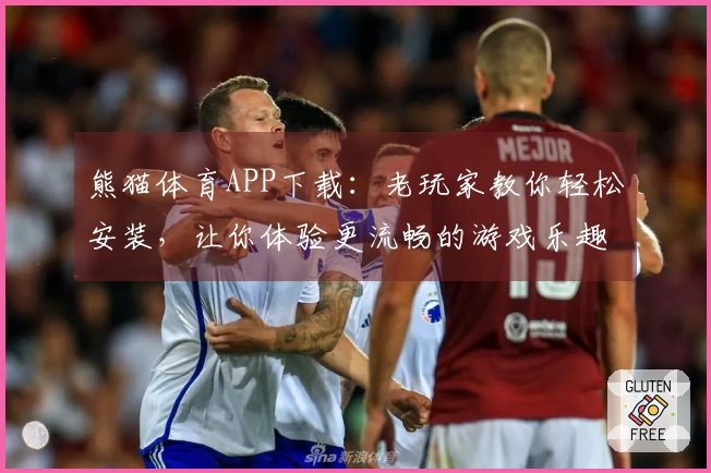 熊猫体育APP下载：老玩家教你轻松安装，让你体验更流畅的游戏乐趣
