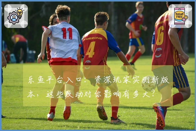 乐鱼平台入口：资深玩家实测新版本，这些改动对你影响有多大？